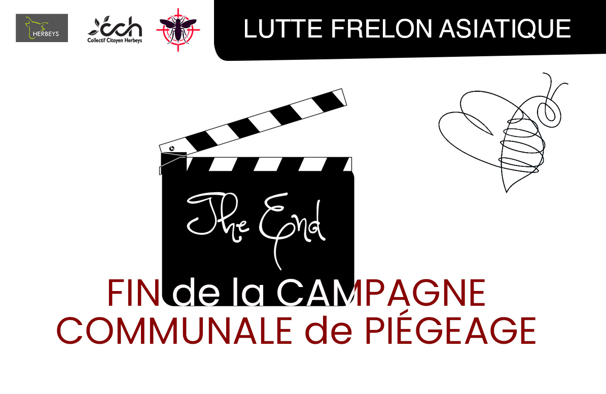 campagne_frelon_printemps_FIN_newsletter