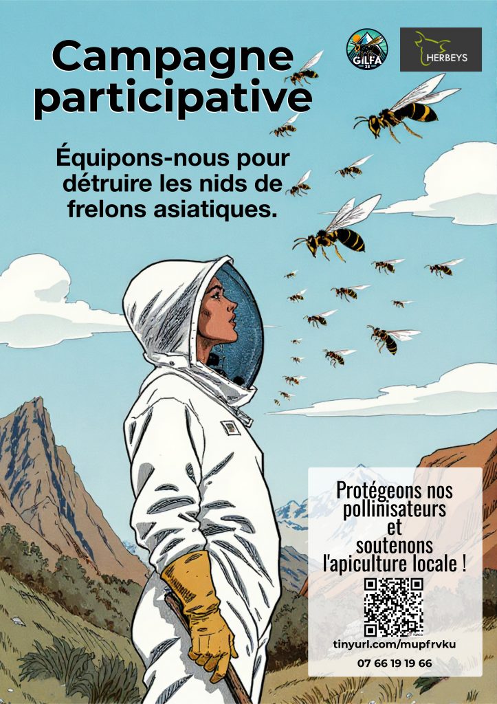 Campagne participative Lutte contre le frelon asiatique