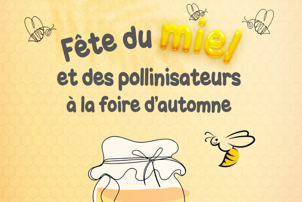 miel_news