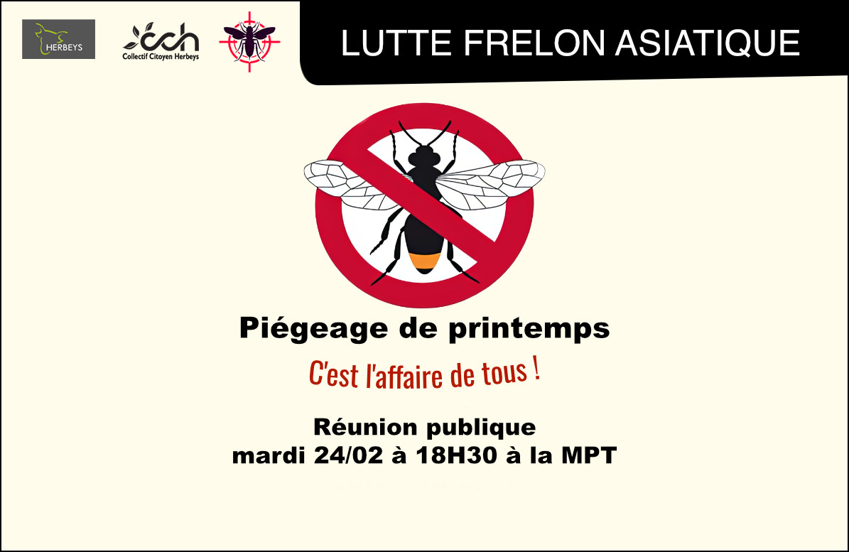 frelon_REU_fev_2025_newsletter