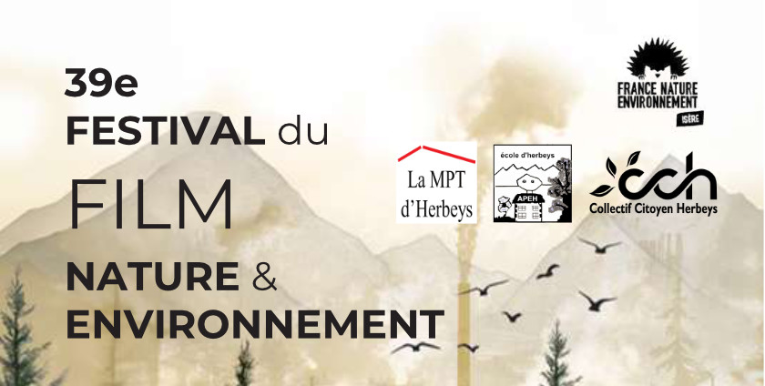 fne_films_2026_newsletter_simplifiee