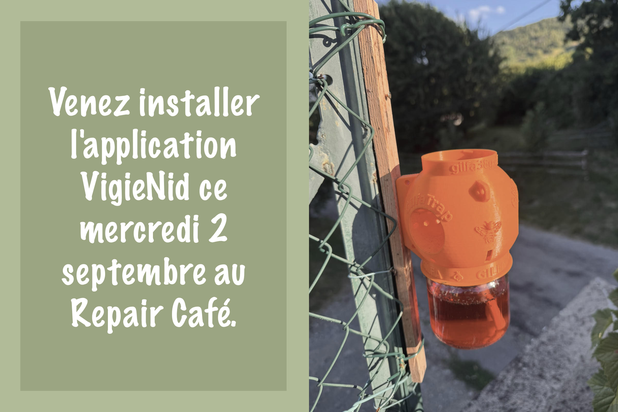 Recherche des nids de frelons asiatiques : lancement de l’application « VigieNid »