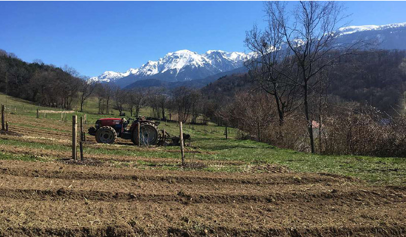 projet-jardins-epices_sml